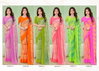 Star Chiffon Vol 170 By Ruchi Daily Wear Printed Saree Suppliers In India
